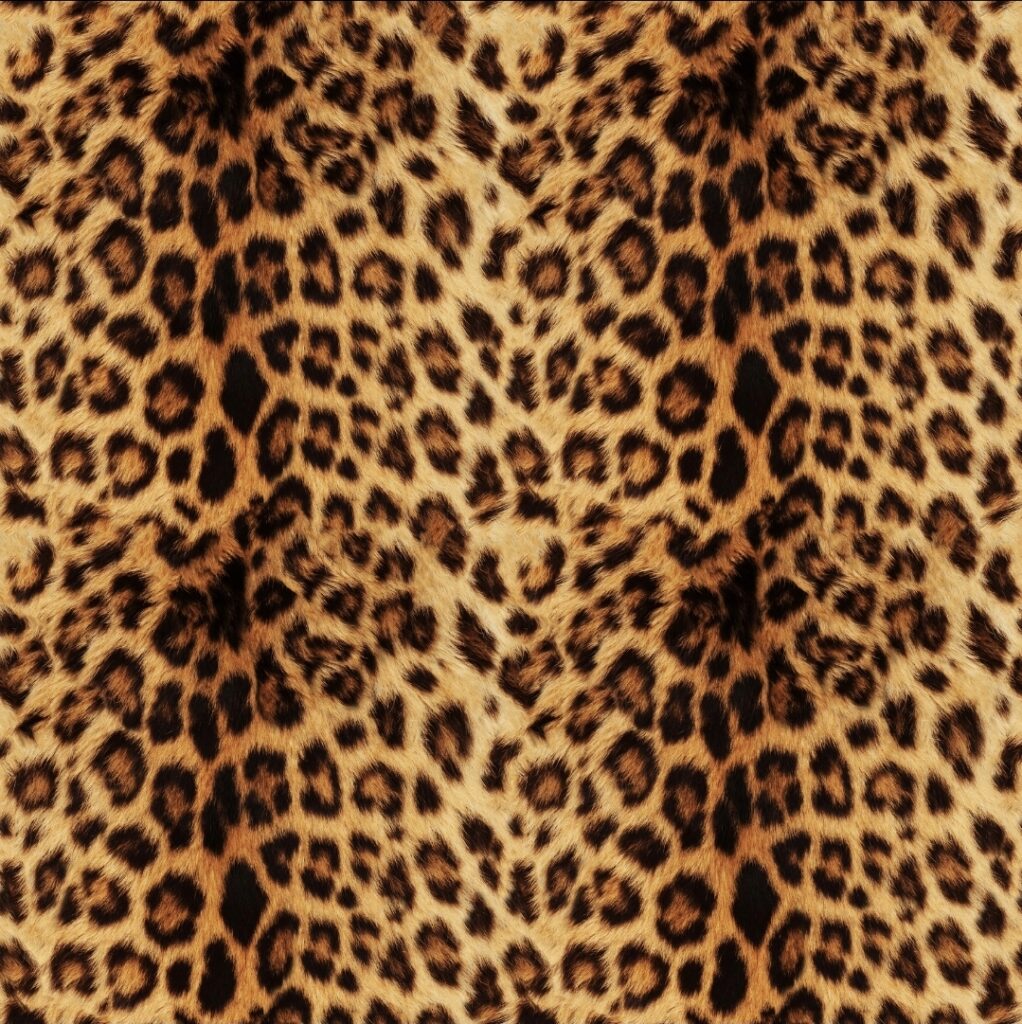 A006 – Leopard print A006 – Leopard print 8 A006 – Leopard print A006 – Leopard print 7