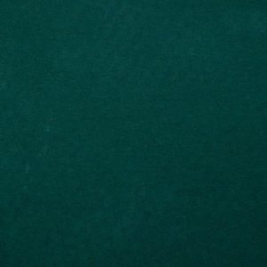 Forrest Green Personalisation 275