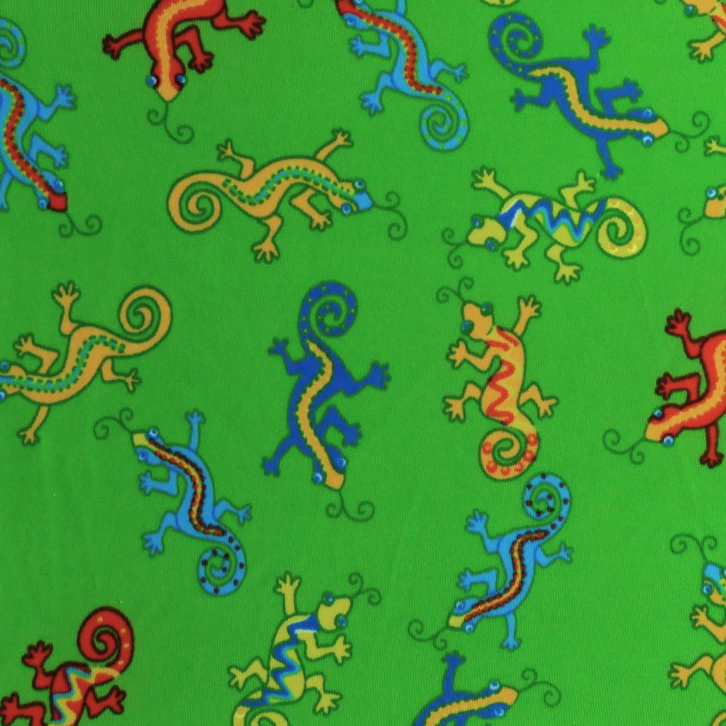 P1240182 41 Gecko A009 – Gecko 11