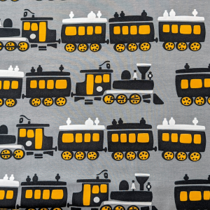 W010 Trains 3089 x 3089 Personalisation 155