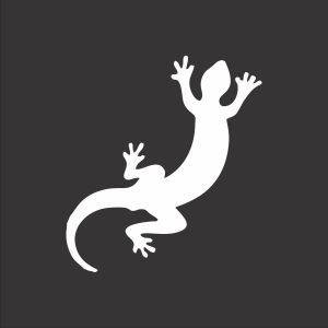 Lizard Personalisation 183