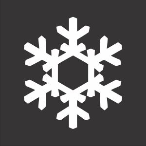 Snowflake Personalisation 195