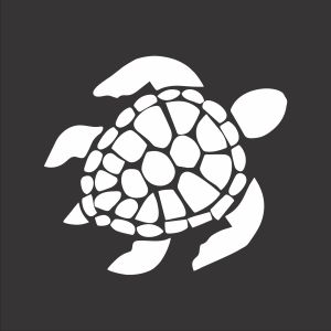 Turtle Personalisation 203