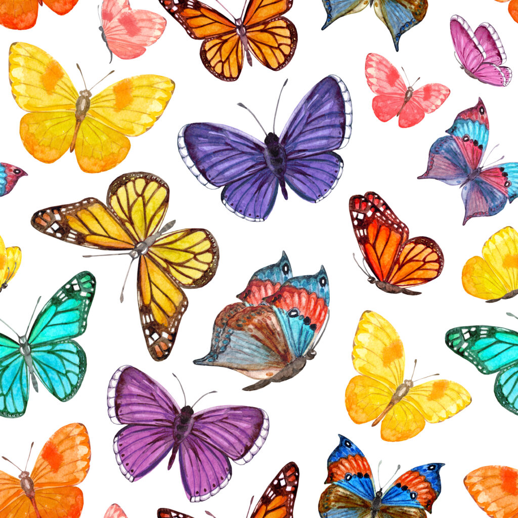 A026 - Butterflies