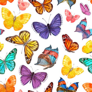 A026 - Butterflies