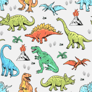 dino Personalisation 49